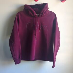 Calvin Klein. Logoed Drawstring Hoodie. Size Small.